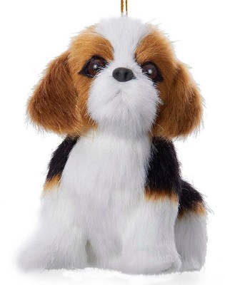 BEAGLE DOG