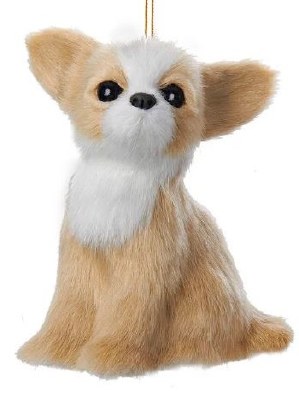CHIHUAHUA DOG