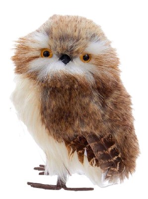 BARN OWL