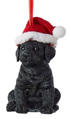 BLACK LABRADOR W/HAT
