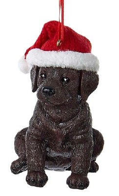 CHOCOLATE LABRADOR W/HAT