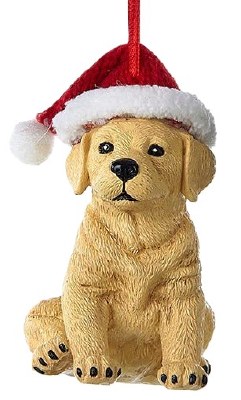 YELLOW LABRADOR W/HAT