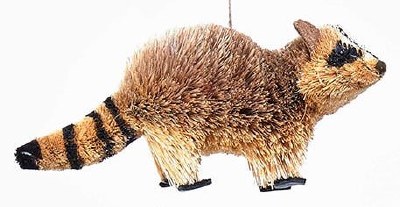 RACCOON