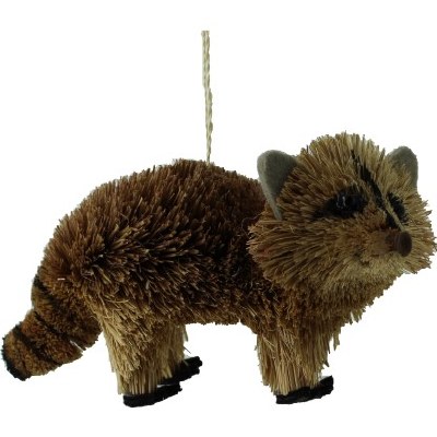RACCOON