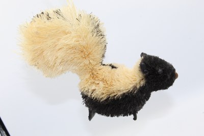 BRUSH SKUNK