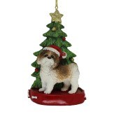 BROWN/WHITE SHIH-TZU WITH TREE
