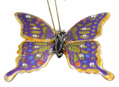 PURPLE GOLD BUTTERFLY