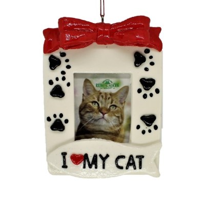 CAT PICTURE FRAME
