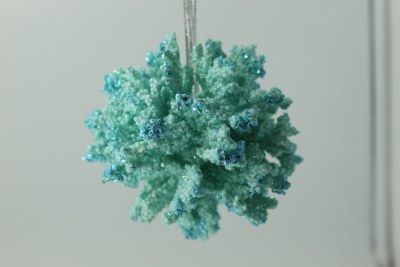 BLUE CORAL