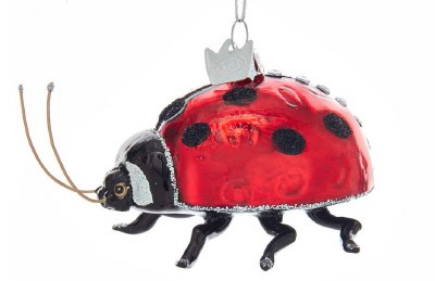LADYBUG
