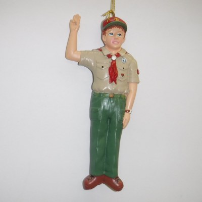 BOY SCOUT TAKING OATH