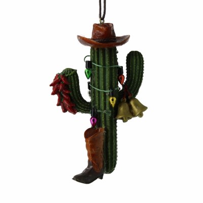 BROWN HAT CACTUS