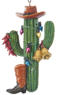 BROWN HAT CACTUS