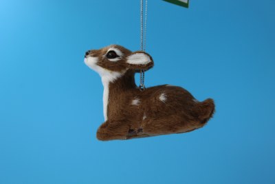 STRAIGHT FORWARD FAWN