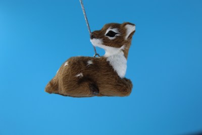 BACKWARD LOOKING FAWN
