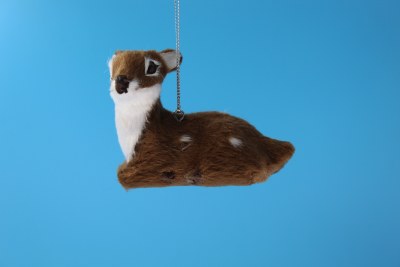SIDEWAY LOOKING FAWN