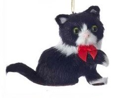 BLACK WHITE CAT