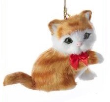 ORANGE WHITE CAT