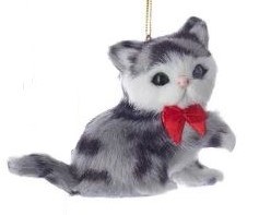 GRAY WHITE CAT