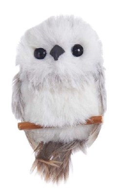 FUZZY OWL