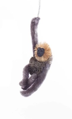 SLOTH