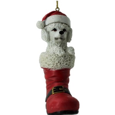 WHITE POODLE IN BOOT