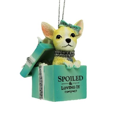 SPOILED &amp; LOVING IT DOG IN BOX