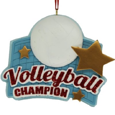 VOLLEYBALL CHAMPION