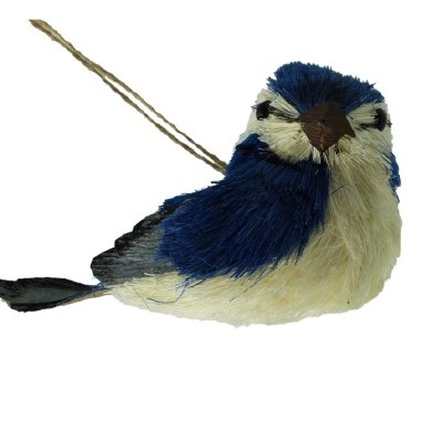 BLUE BIRD