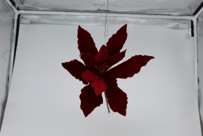 RED VELVET POINTSETTIA PICK