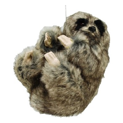 GREY SLOTH