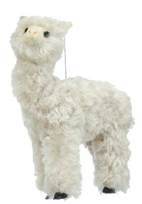 CREAM COLOR ALPACA