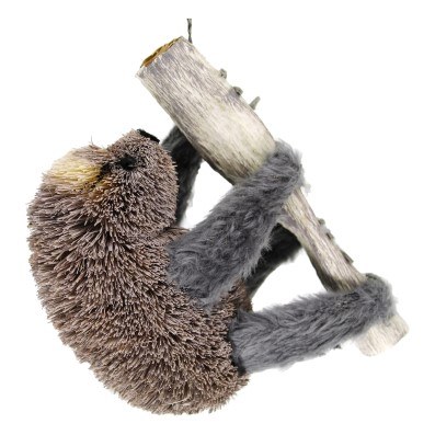 BRUSH SLOTH