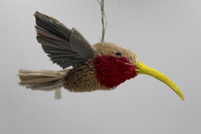 GREY BRUSH HUMMINGBIRD