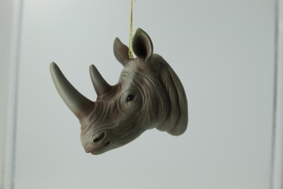 RHINO