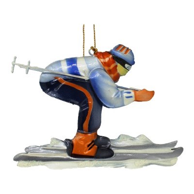 SKIIER 2