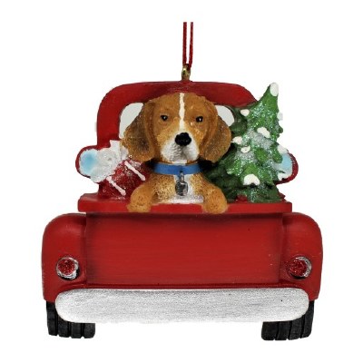 BEAGLE IN BACK OF TRUCK