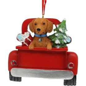 RED DASCHUND IN BACK OF TRUCK