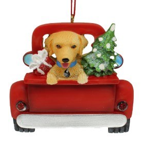 GOLDEN RETRIEVER BACK OF TRUCK