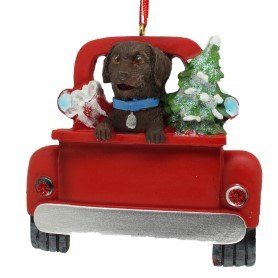 CHOCOLATE LAB IN BACK OF TRUCK
