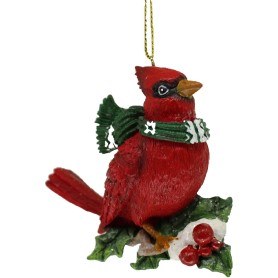 CARDINAL BIRD
