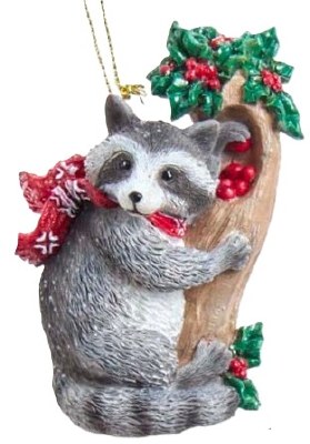 RACCOON BY TREE