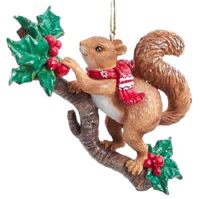 SQUIRREL BY TREE