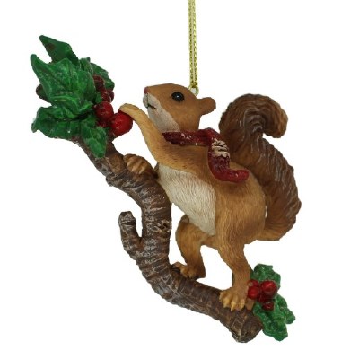 SQUIRREL BY TREE