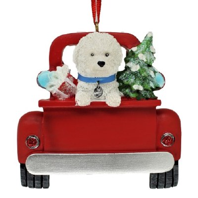 BICHON FRISE IN BACK OF TRUCK
