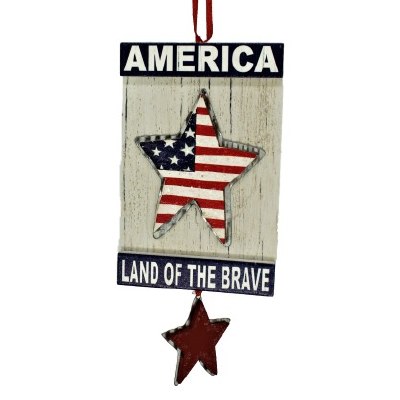 AMERICA STAR