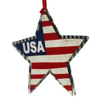 USA FLAG STAR