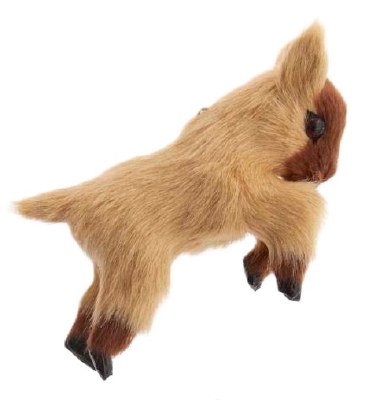 BROWN BABY GOAT