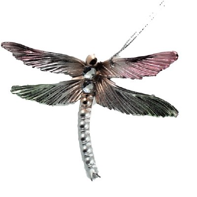 DRAGON FLY