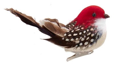 CLIP ON BIRD